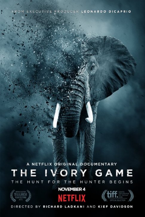 L'affiche du film The Ivory Game
