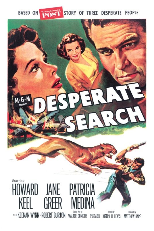L'affiche du film Desperate Search