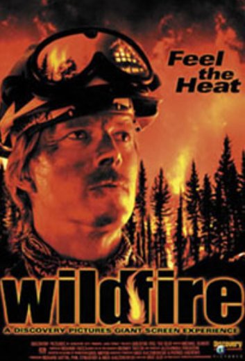 L'affiche du film Wildfire: Feel the Heat