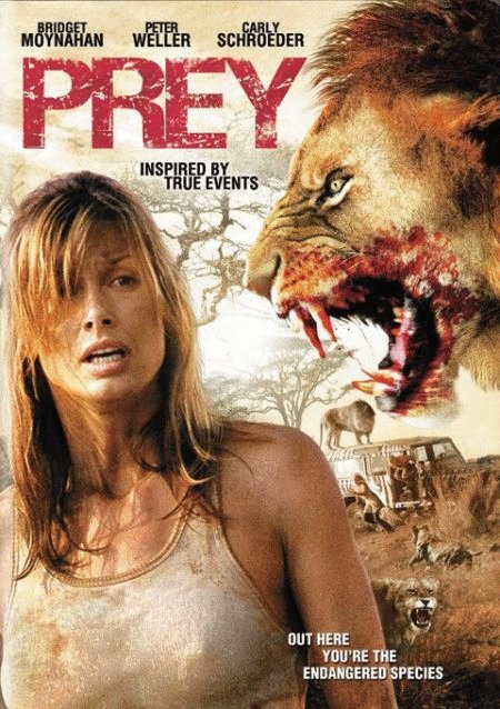 Poster of the movie Prey