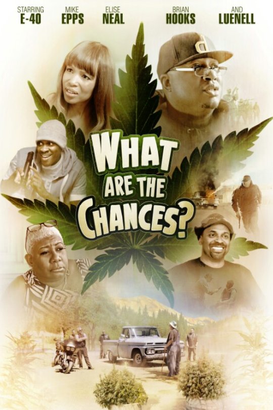 Poster of the movie What Are the Chances?