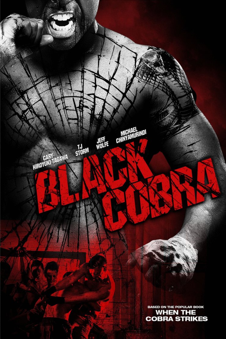 L'affiche du film Black Cobra