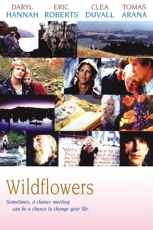 L'affiche du film Wildflowers