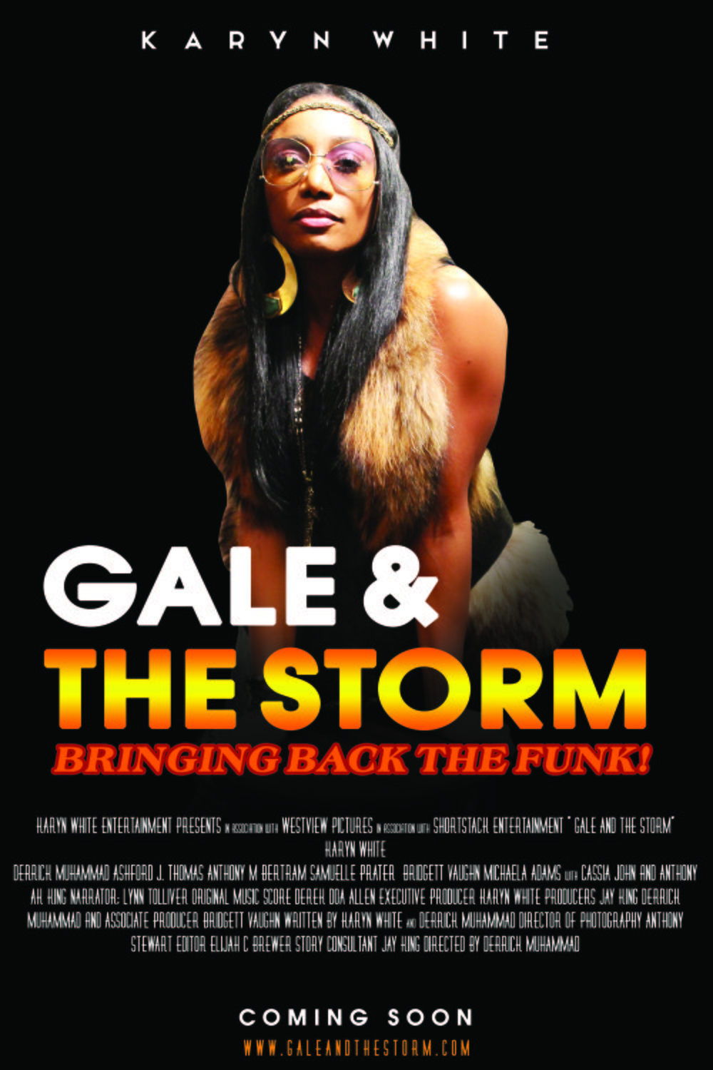 L'affiche du film Gale and the Storm
