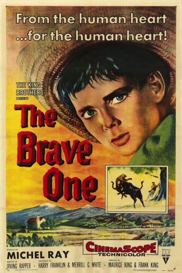 Poster of the movie The Brave One