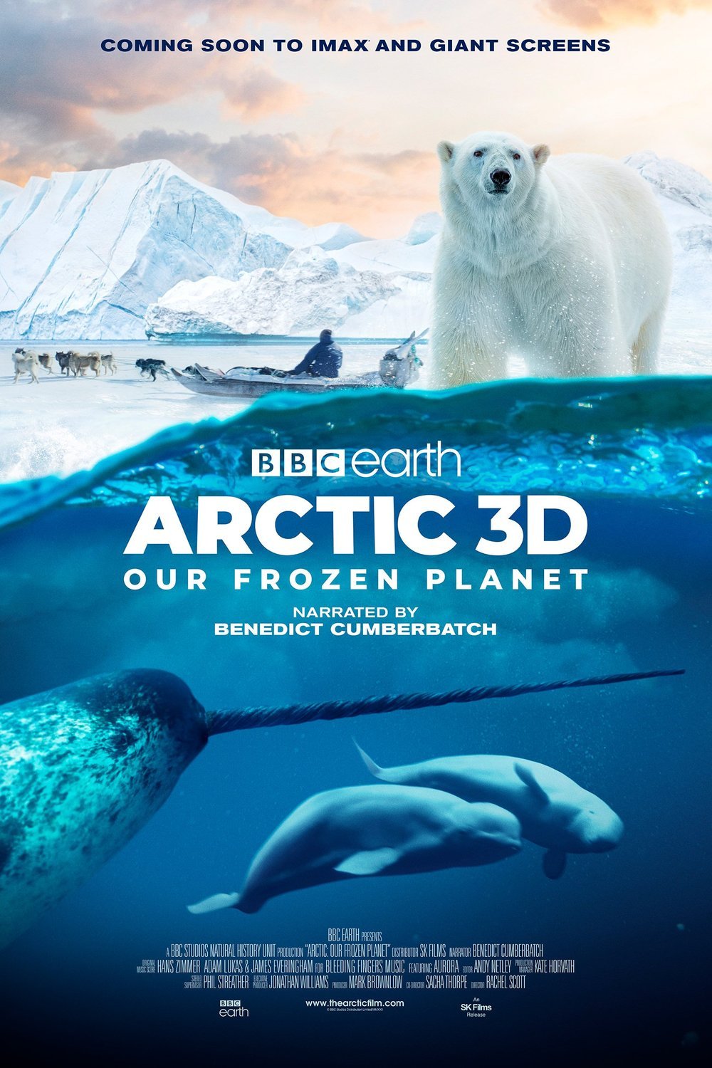 L'affiche du film Arctic: Our Frozen Planet