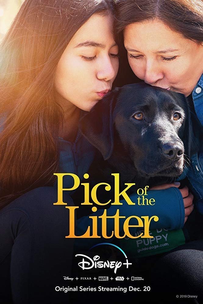 L'affiche du film Pick of the Litter