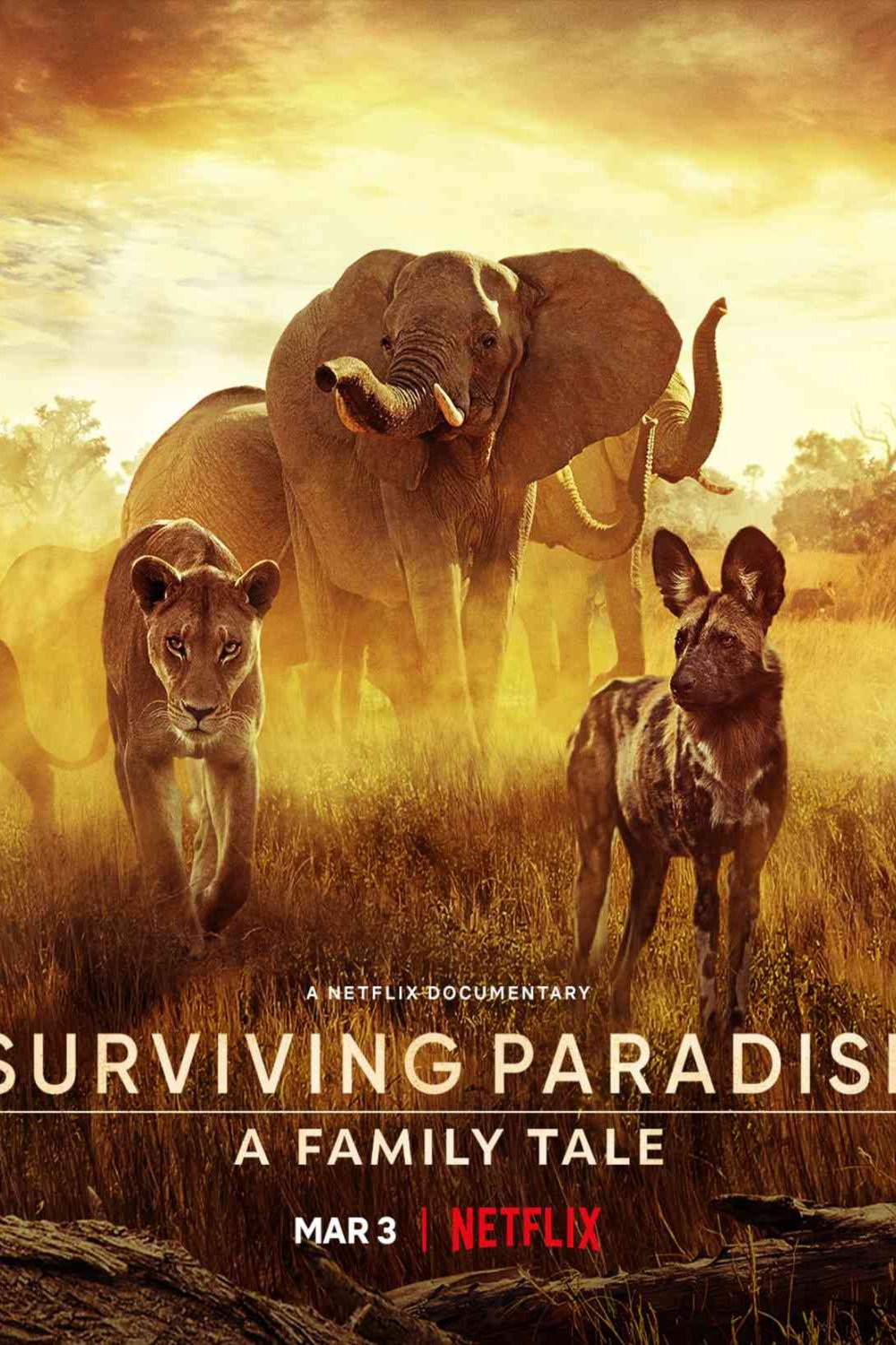 L'affiche du film Surviving Paradise: A Family Tale