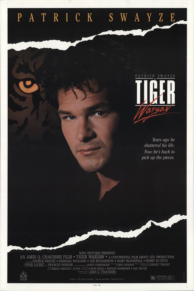 L'affiche du film Tiger Warsaw