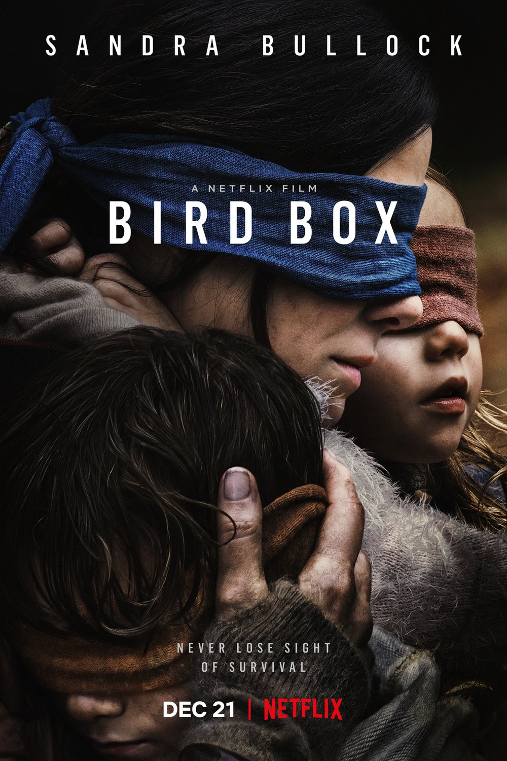 Poster of the movie Bird Box