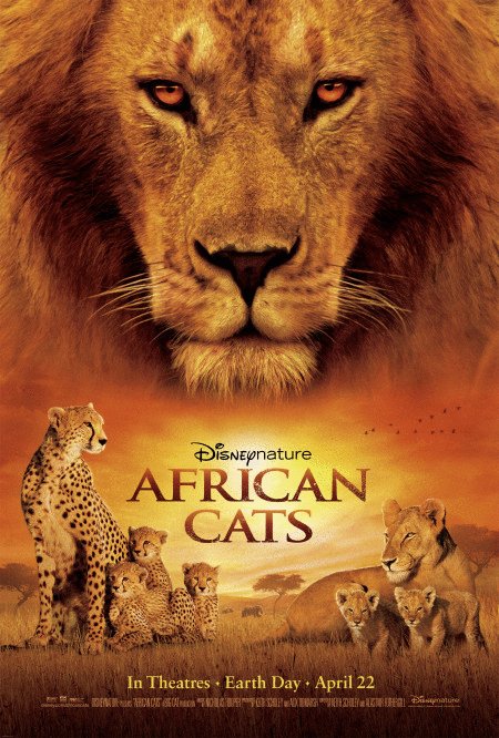 L'affiche du film African Cats