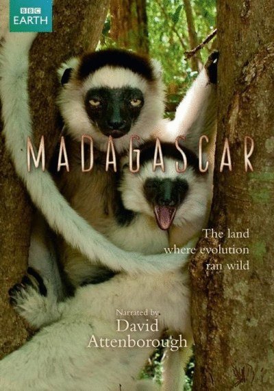 L'affiche du film Madagascar