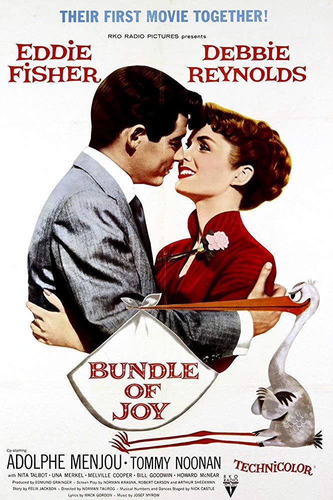 Poster of the movie Bundle of Joy