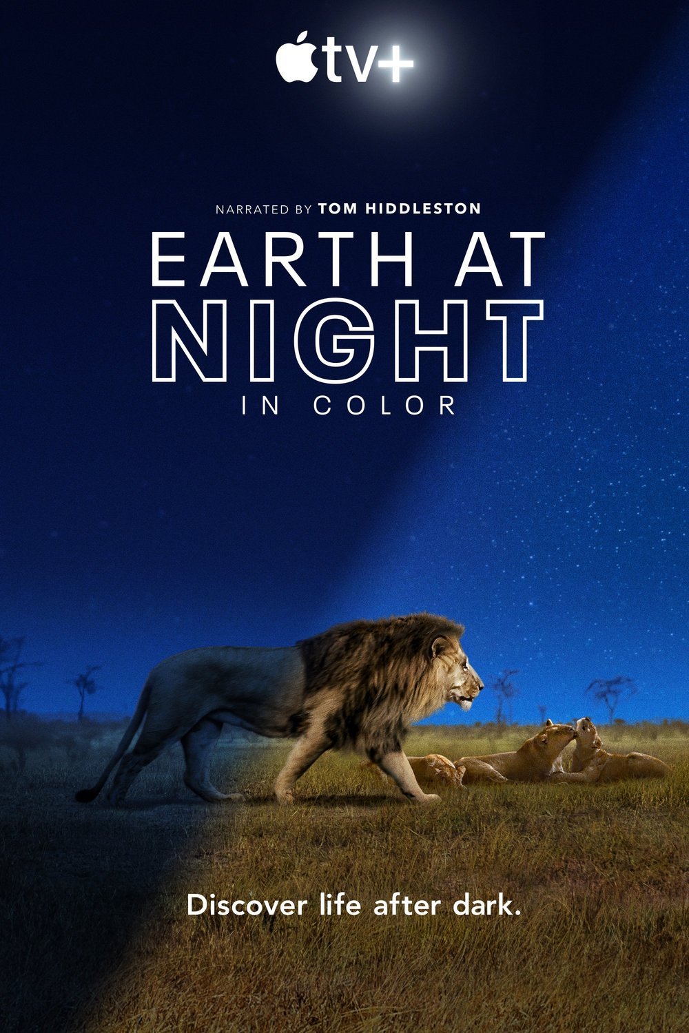 L'affiche du film Earth at Night in Color