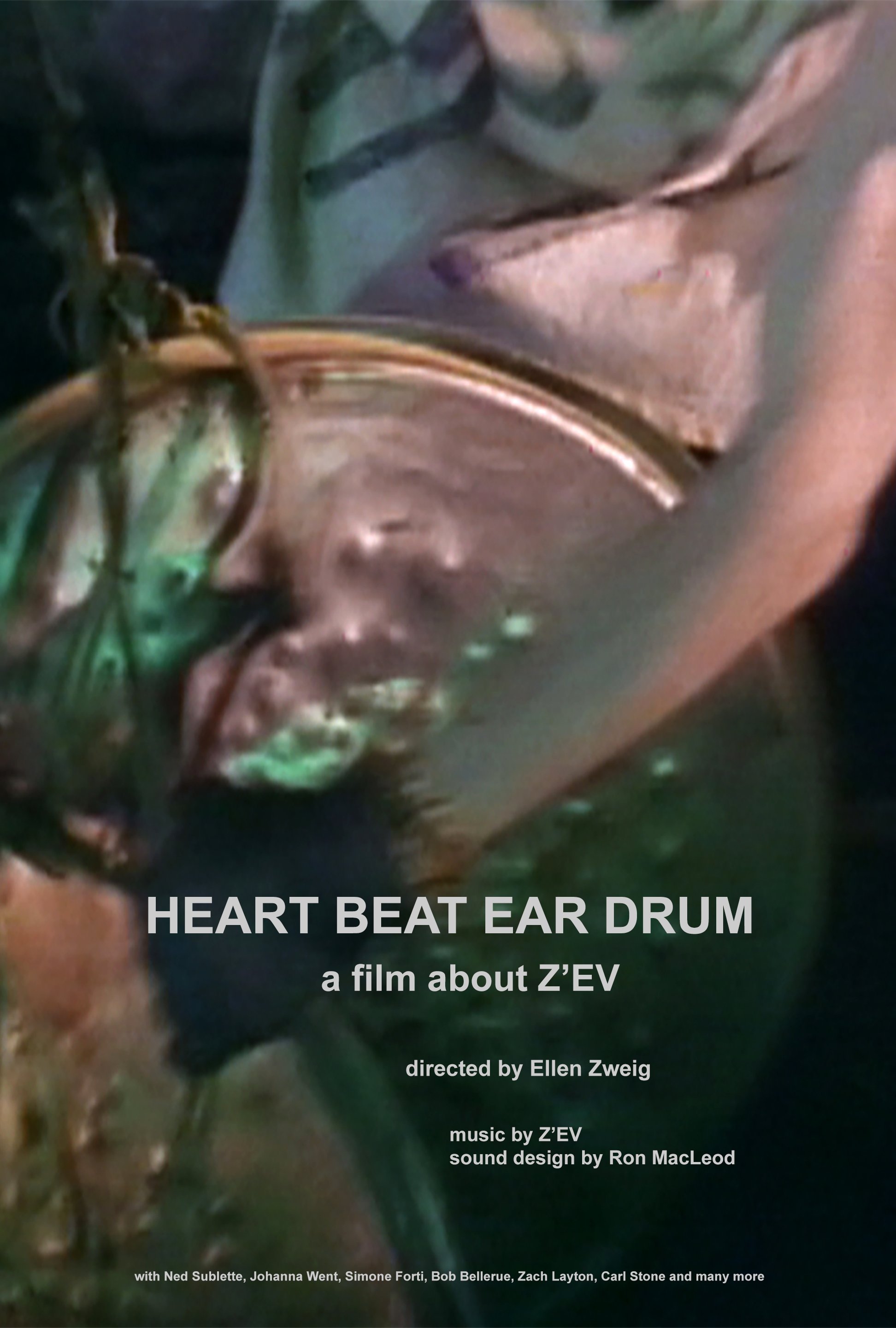 L'affiche du film Heart Beat Ear Drum