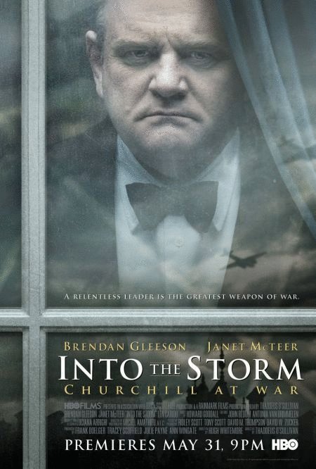 L'affiche du film Into the Storm: Churchill at War