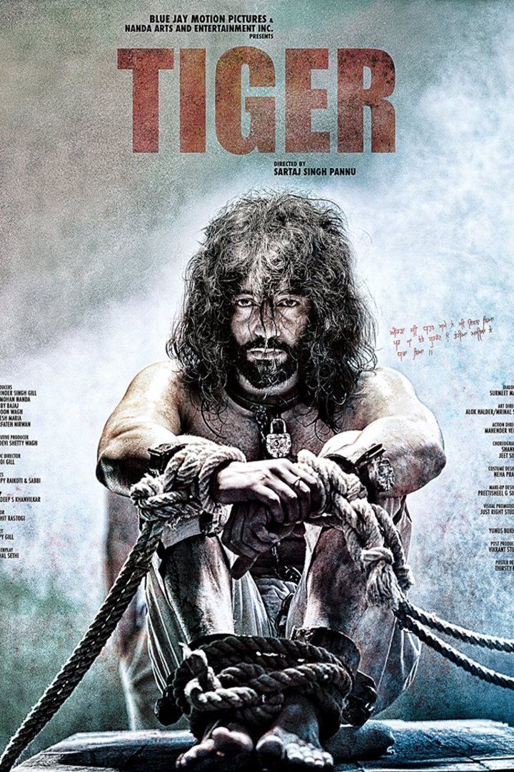 L'affiche originale du film Tiger en Hindi