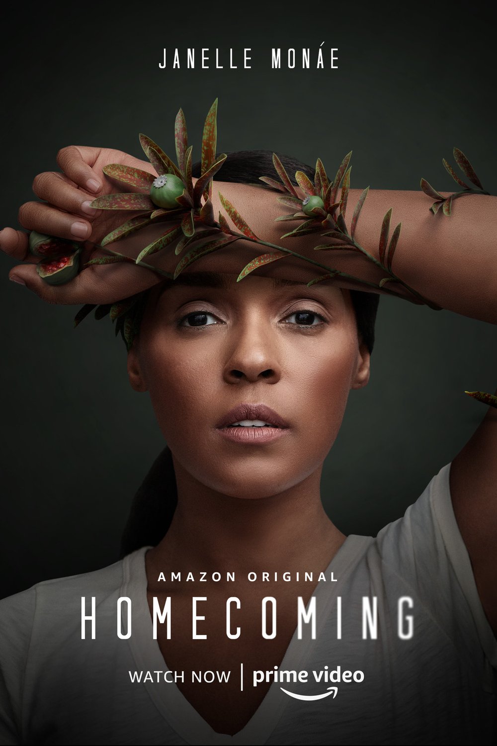 L'affiche du film Homecoming