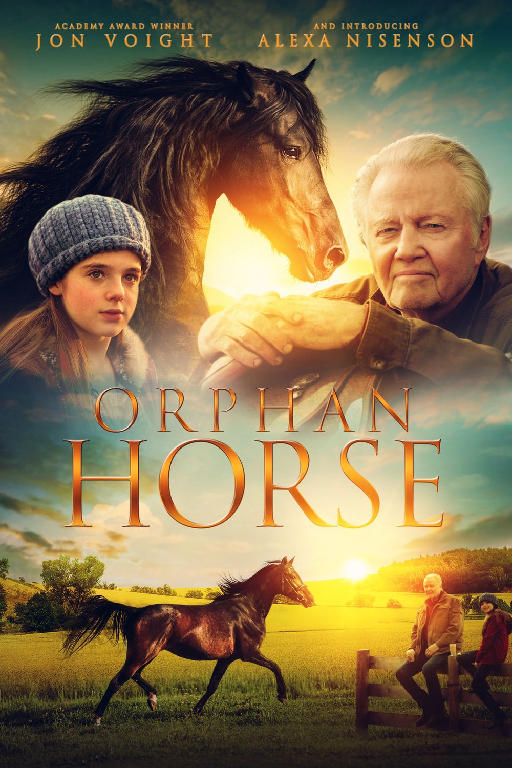 L'affiche du film Orphan Horse