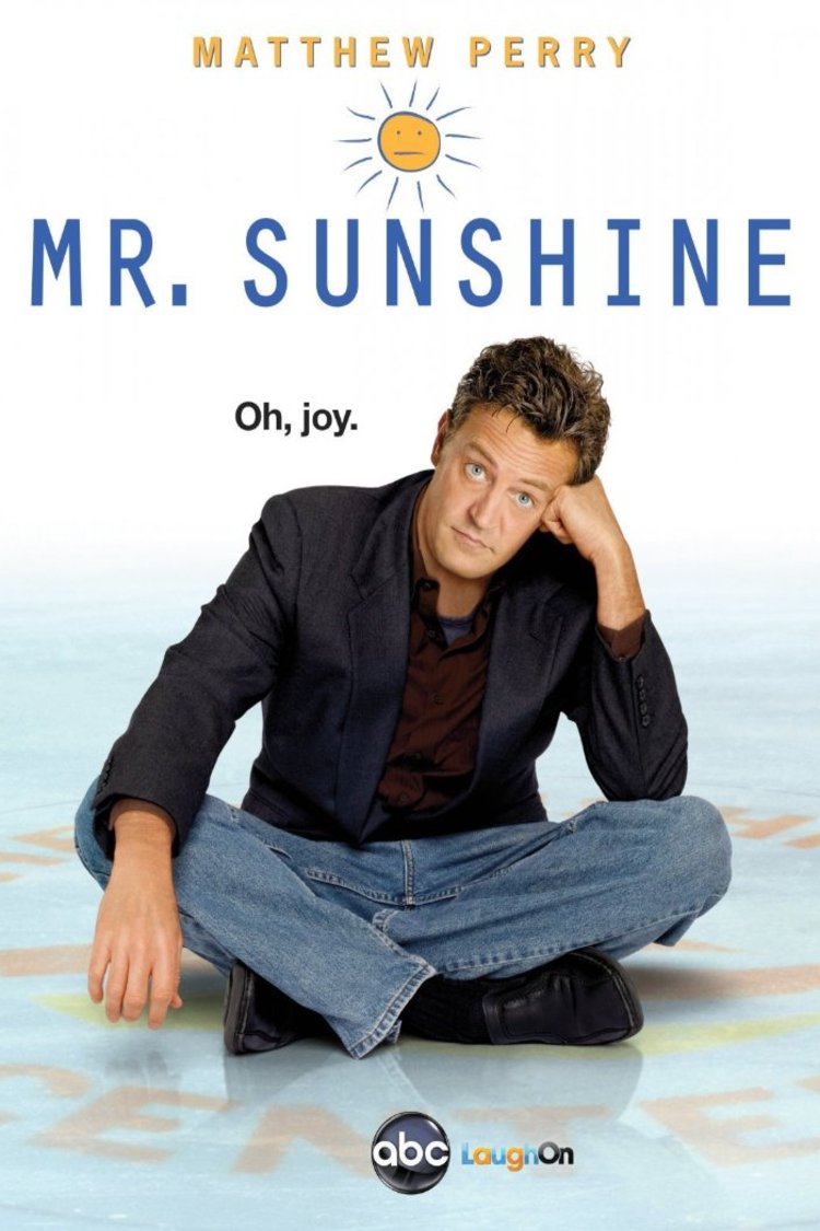 L'affiche du film Mr. Sunshine
