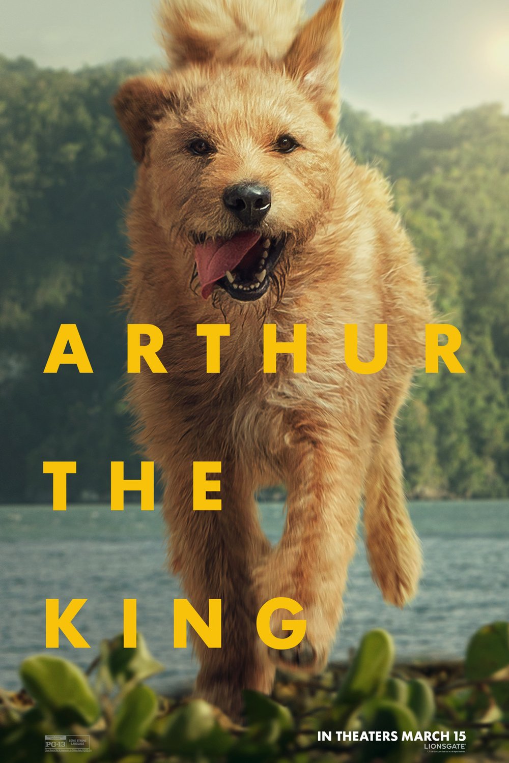 L'affiche du film Arthur the King