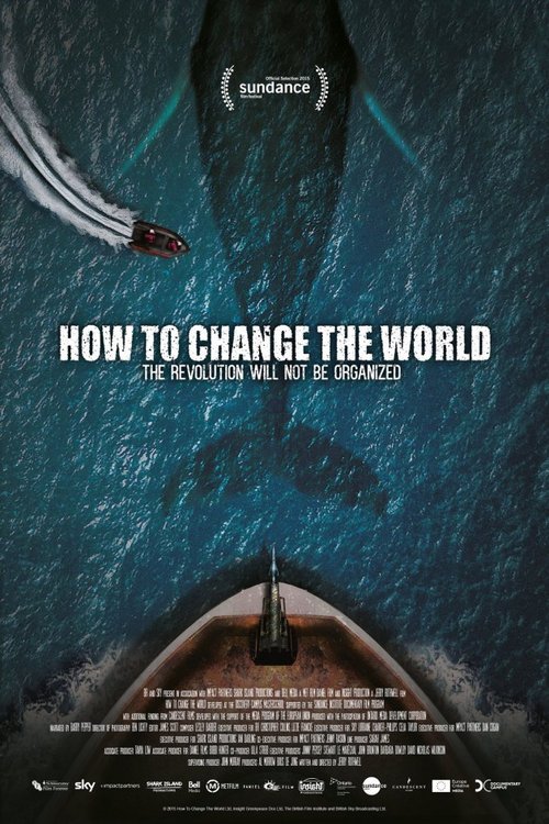 Poster of the movie How to Change the World