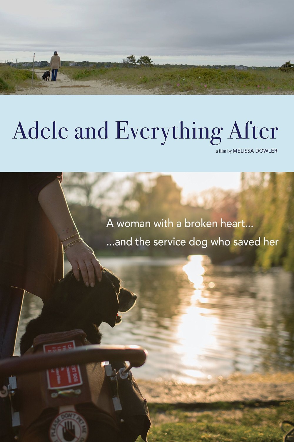 L'affiche du film Adele and Everything After