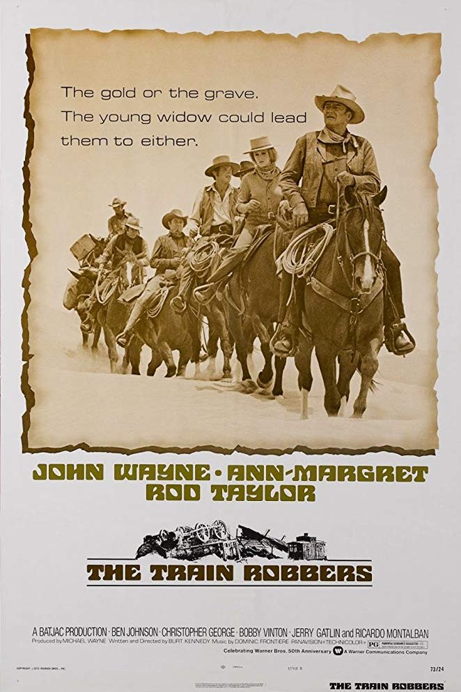 Poster of the movie The Train Robbers