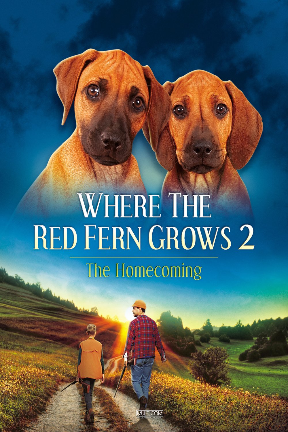 L'affiche du film Where the Red Fern Grows: Part Two
