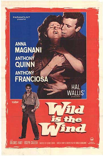 L'affiche du film Wild is the Wind