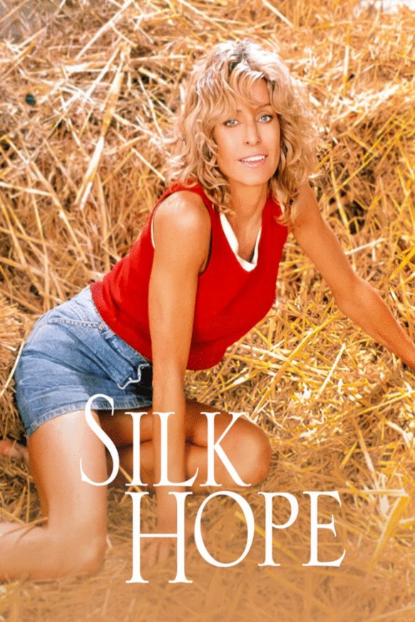 L'affiche du film Silk Hope