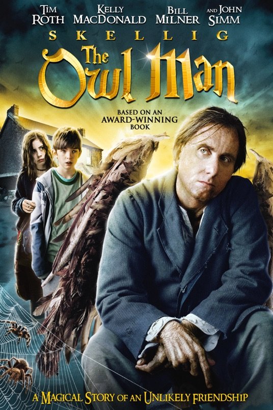 L'affiche du film Skellig: The Owl Man