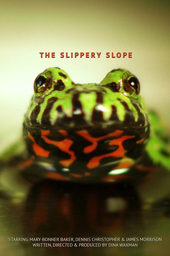 L'affiche du film The Slippery Slope