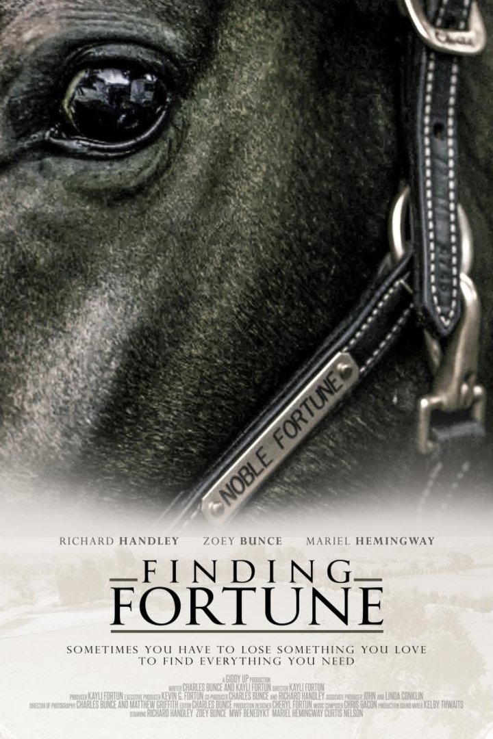 L'affiche du film Finding Fortune