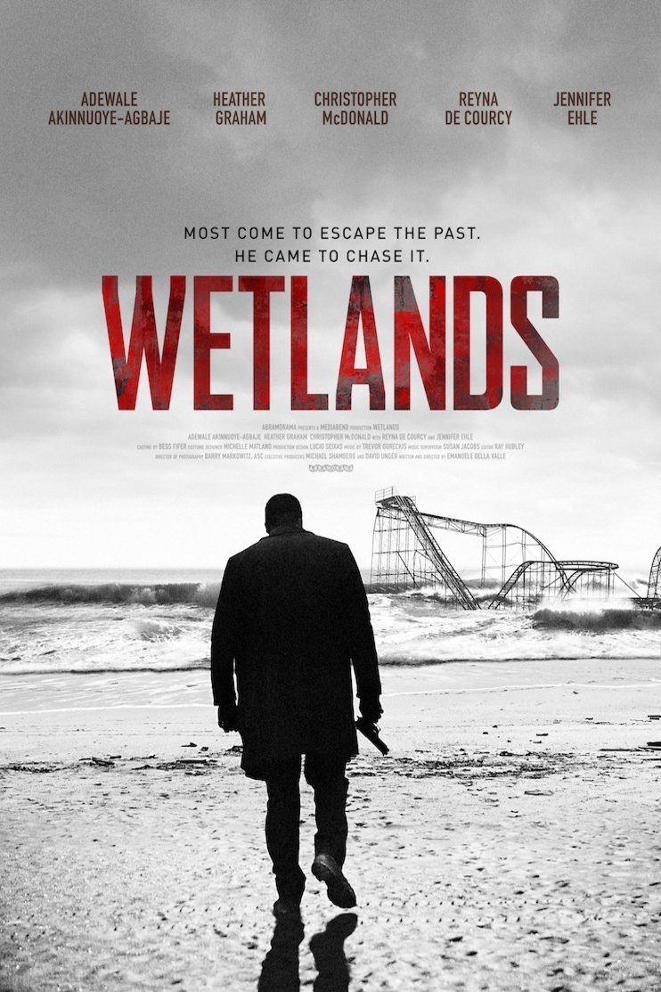 L'affiche du film Wetlands