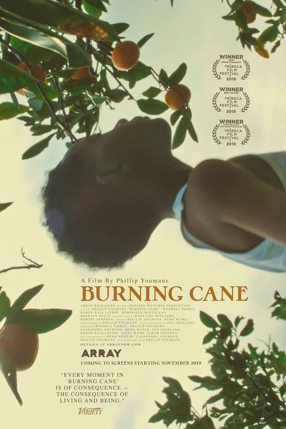 L'affiche du film Burning Cane