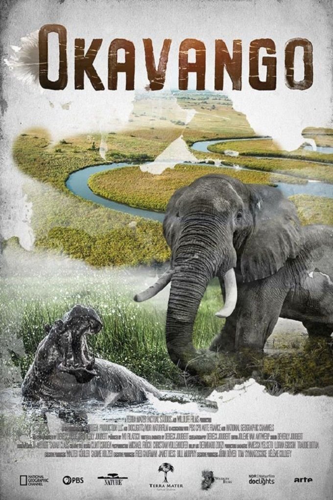 L'affiche du film Okavango: River of Dreams