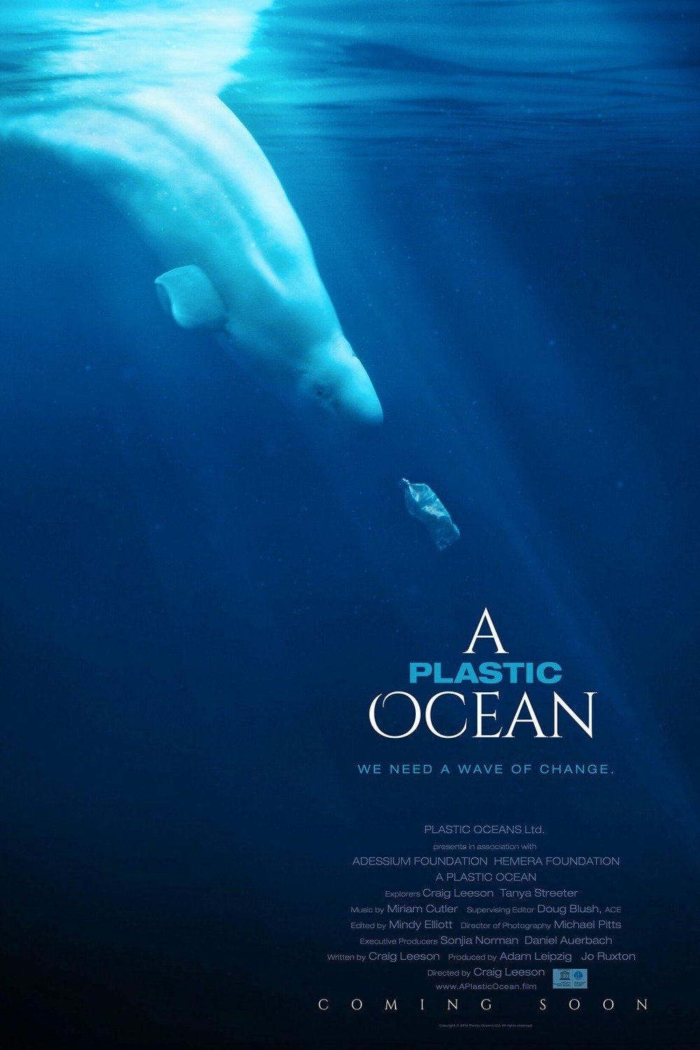 L'affiche du film A Plastic Ocean