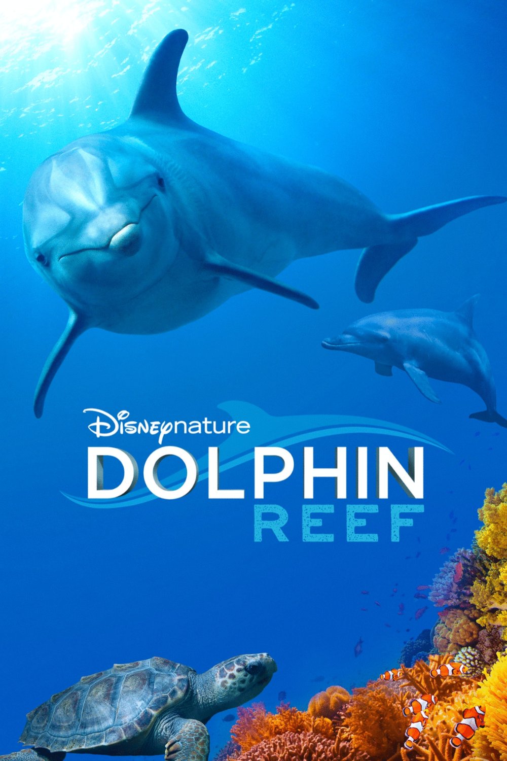 L'affiche du film Dolphin Reef