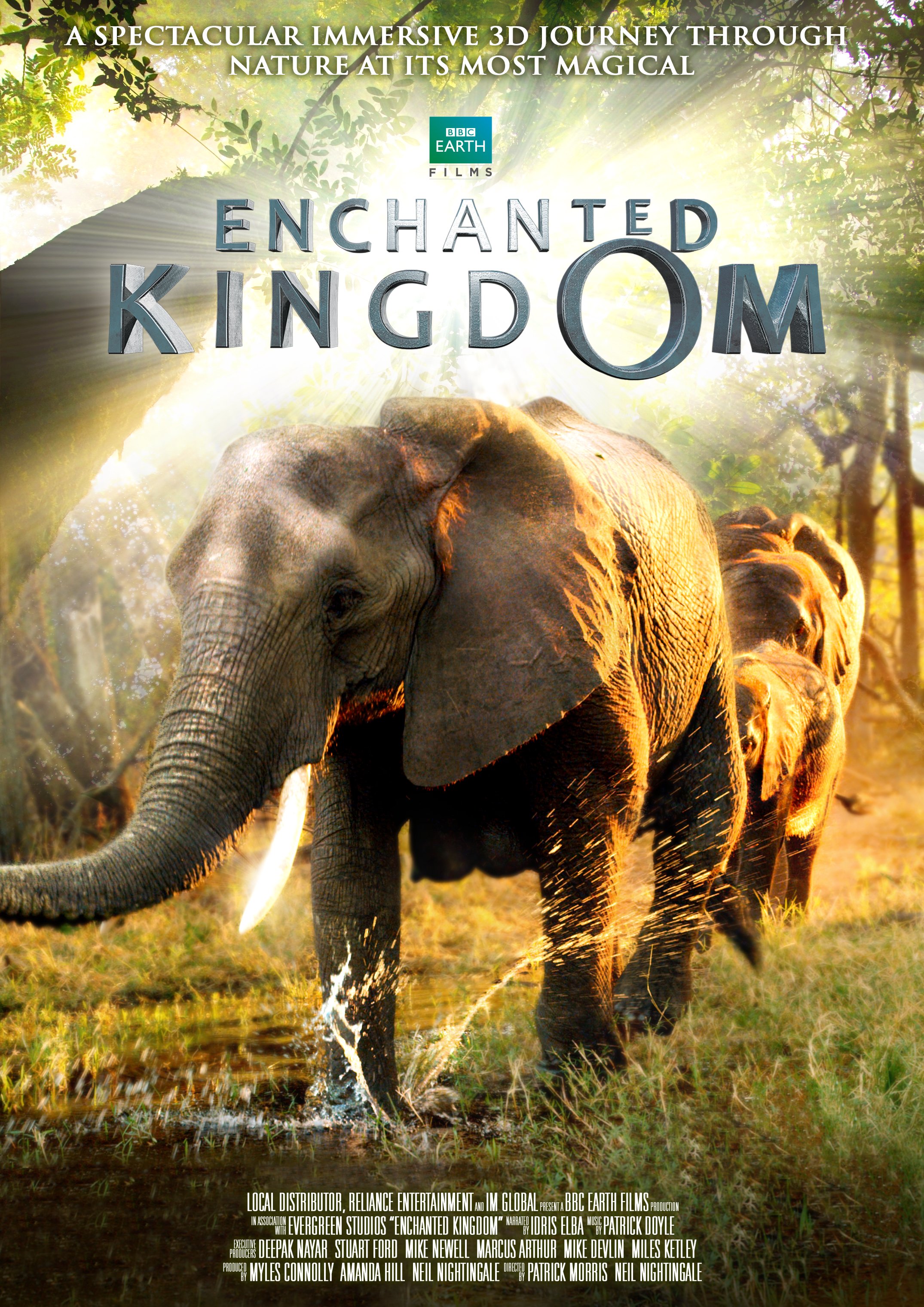 L'affiche du film Enchanted Kingdom