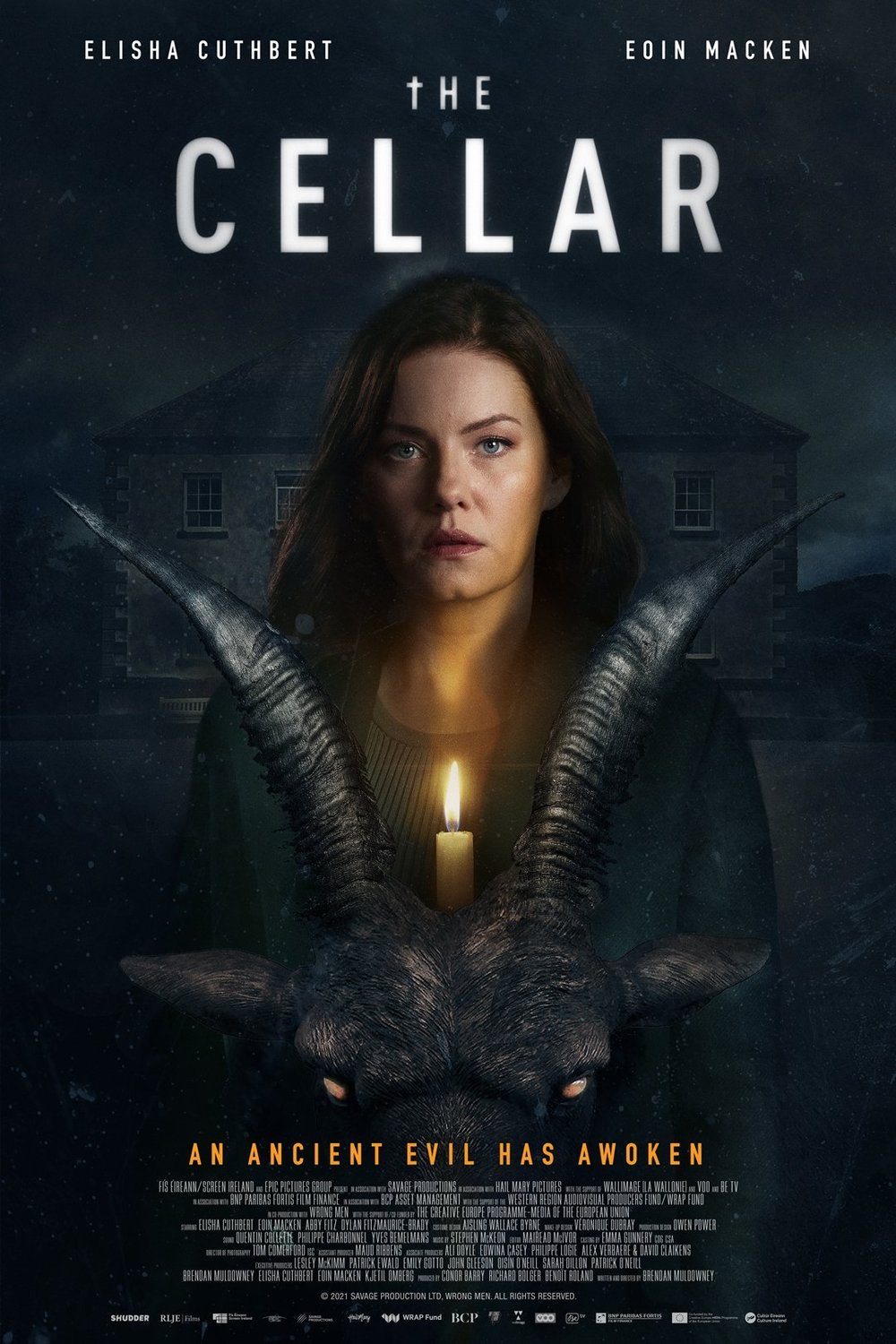 Poster of the movie The Cellar
