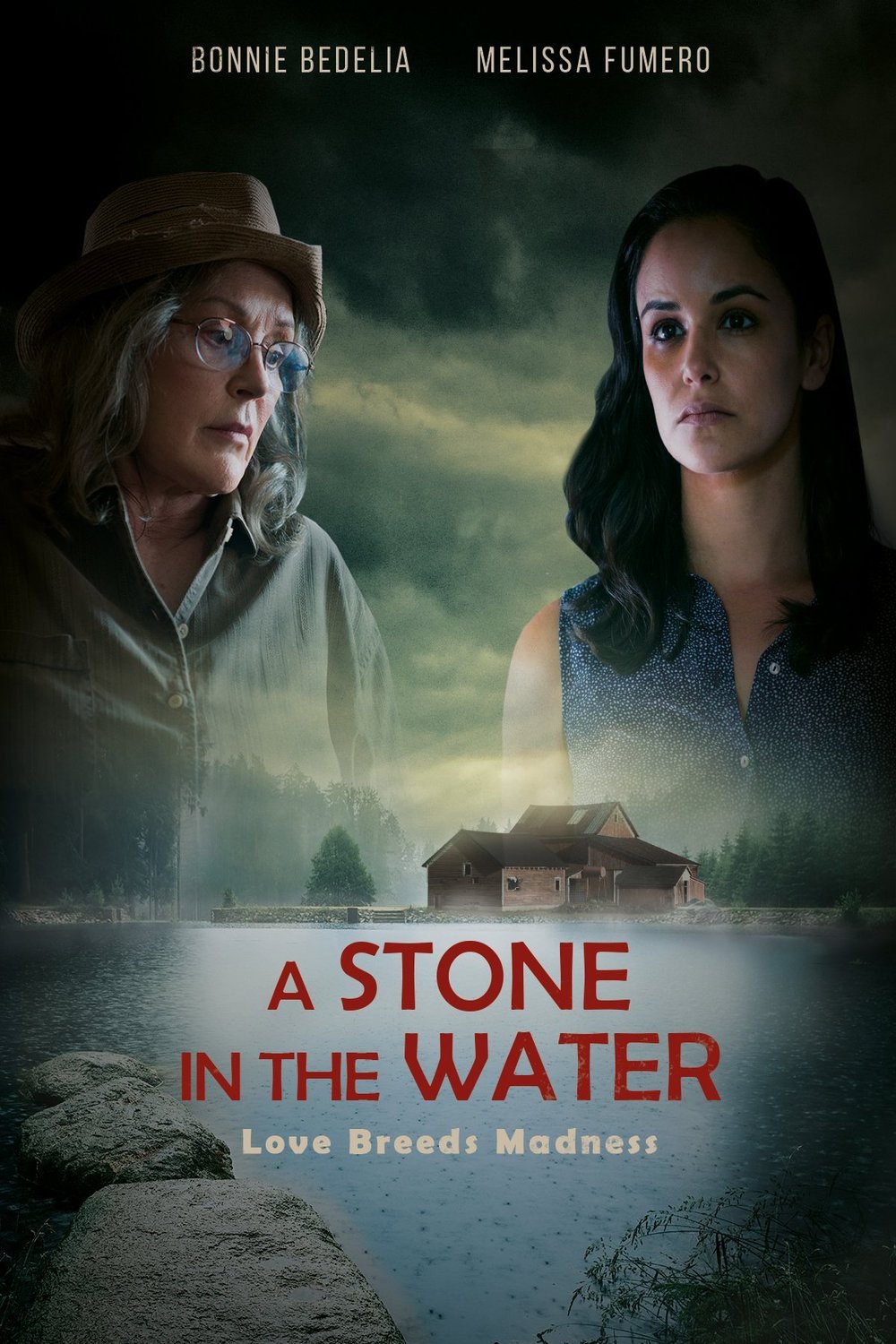 L'affiche du film A Stone in the Water