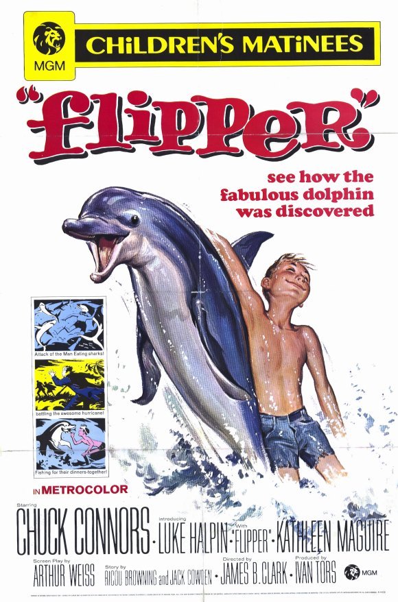 L'affiche du film Flipper