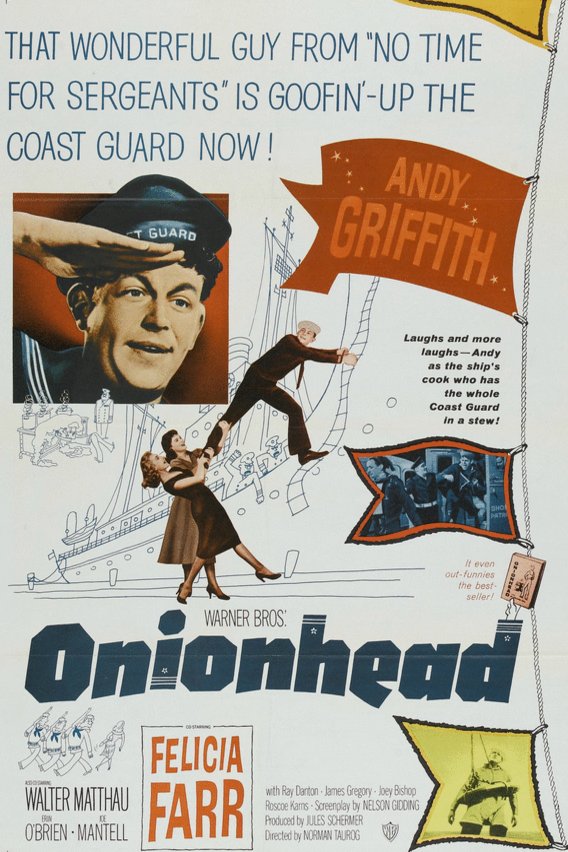 L'affiche du film Onionhead