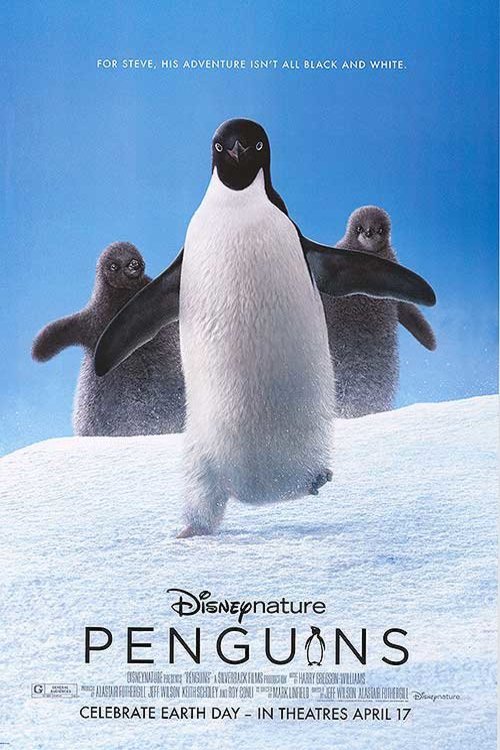 Poster of the movie Disneynature Penguins