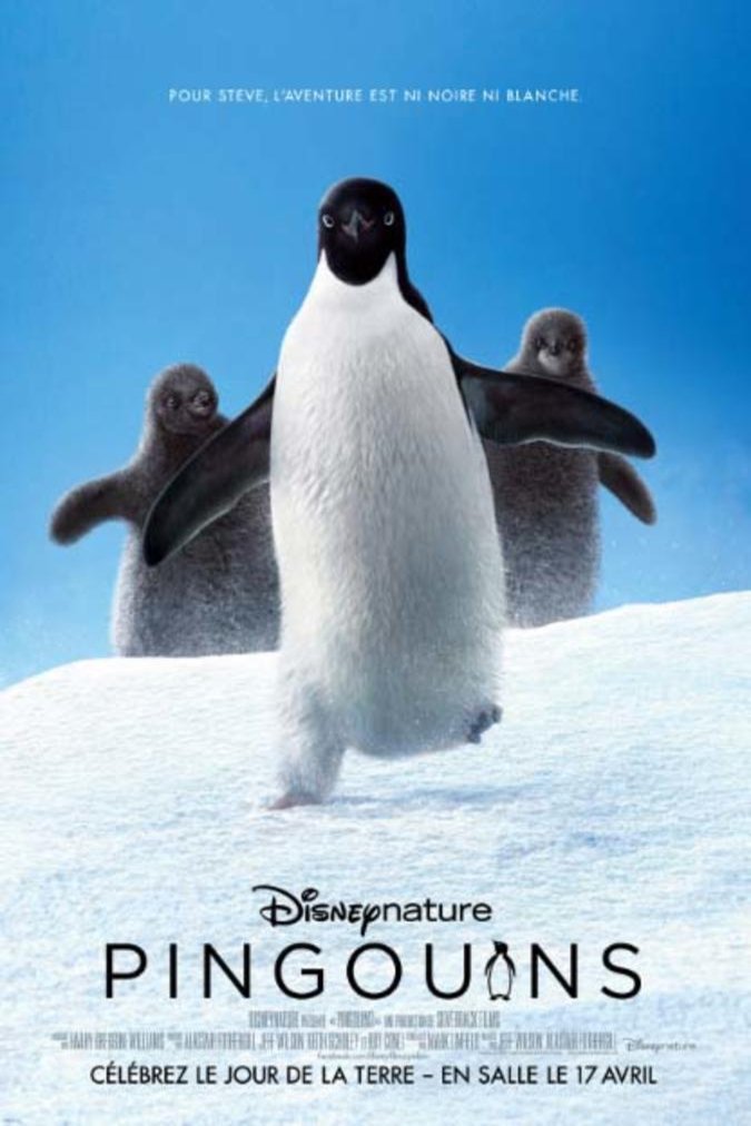 L'affiche du film Disneynature Penguins