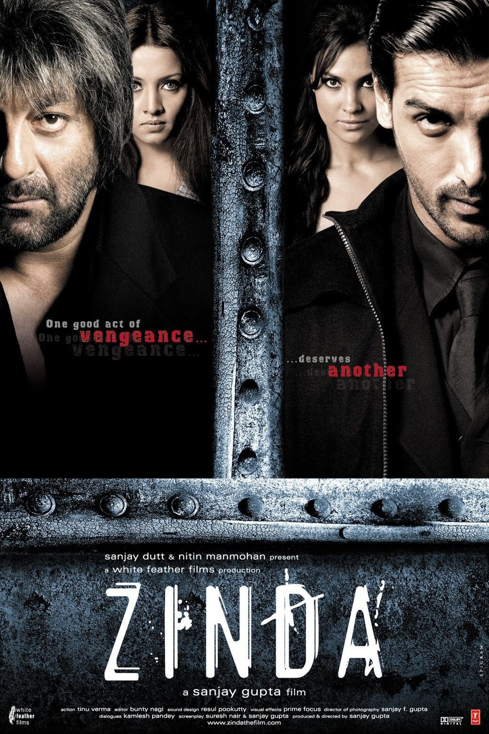 L'affiche du film Zinda