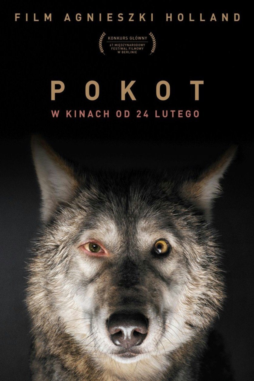 L'affiche originale du film Pokot en polonais