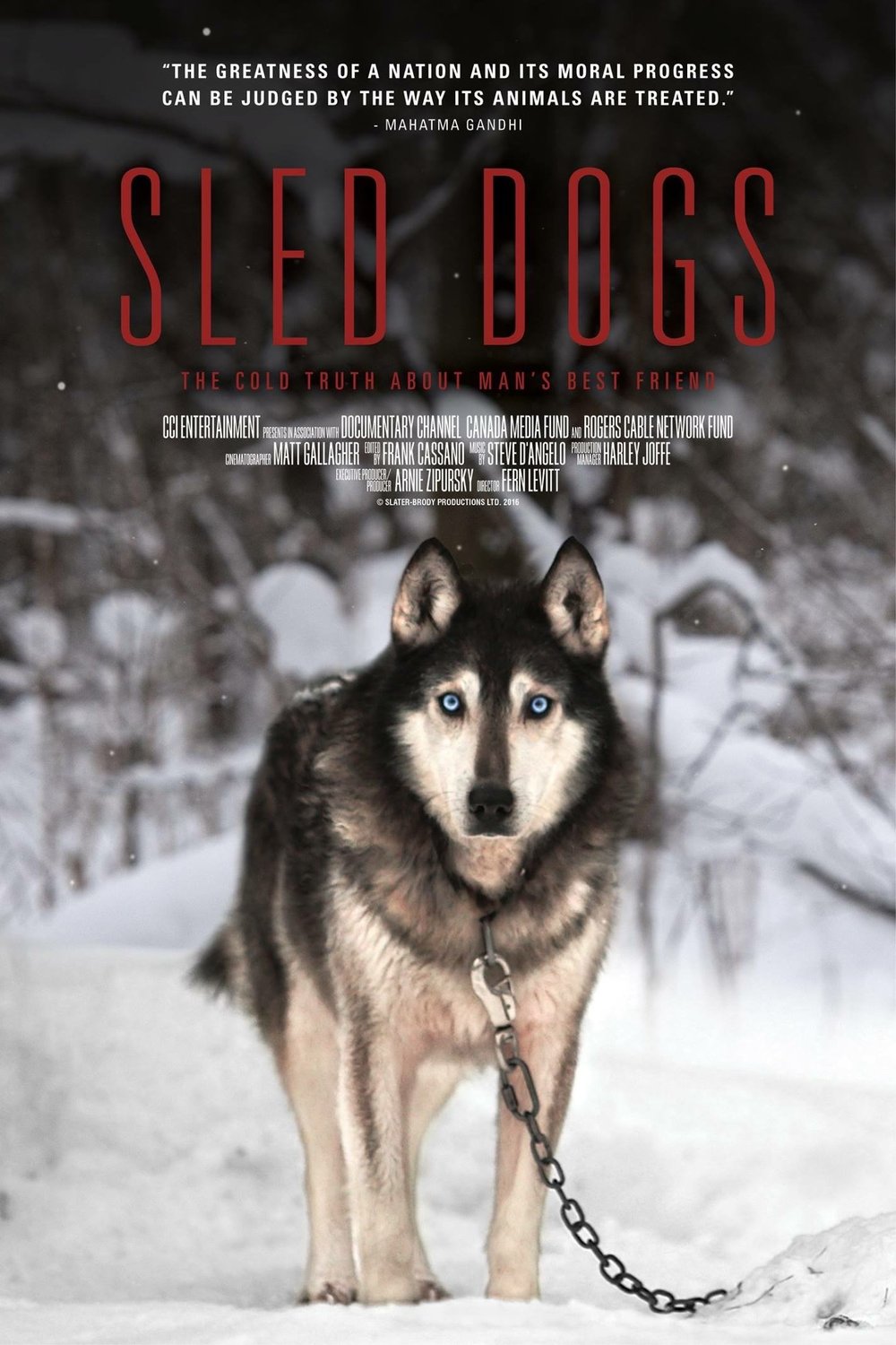L'affiche du film Sled Dogs