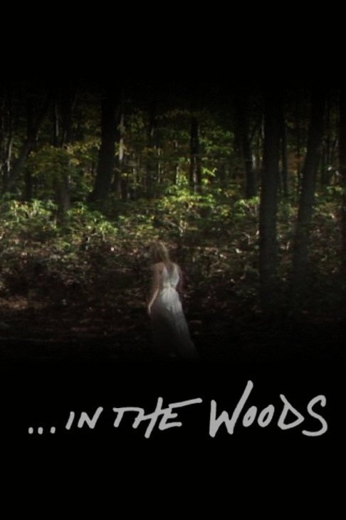 L'affiche du film In The Woods